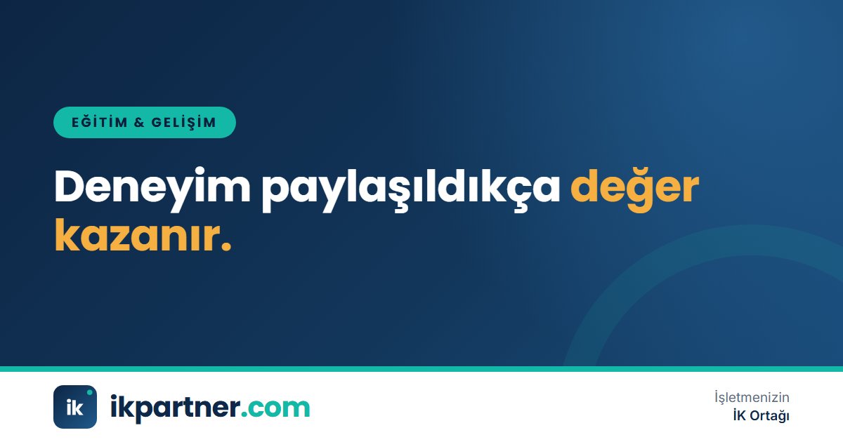 Deneyimli bir çalışan ile genç meslektaşının mentorluk görüşmesi yaptığı ofis ortamı