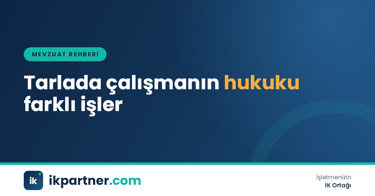 Hasat döneminde tarlada çalışan işçiler ve arka planda bir traktör